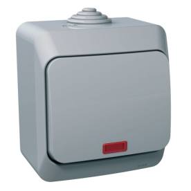 CEDAR PLUS Egypólusú kapcsoló, jelzőfénnyel, IP44, szürke
