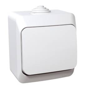 CEDAR PLUS Egypólusú nyomó, IP44, fehér (101N)