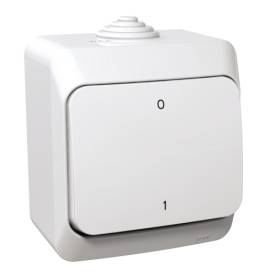 CEDAR PLUS Kétpólusú kapcsoló, IP44, fehér (102)