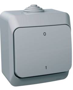 CEDAR PLUS Kétpólusú kapcsoló, IP44, szürke (102)