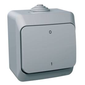 CEDAR PLUS Kétpólusú kapcsoló, IP44, szürke (102)