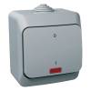 CEDAR PLUS Kétpólusú kapcsoló, jelzőfénnyel, IP44, szürke 