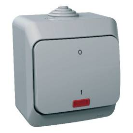 CEDAR PLUS Kétpólusú kapcsoló, jelzőfénnyel, IP44, szürke