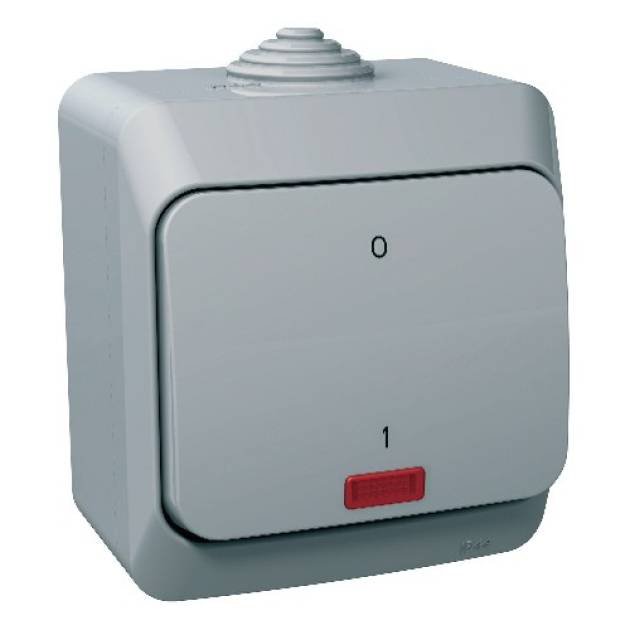 CEDAR PLUS Kétpólusú kapcsoló, jelzőfénnyel, IP44, szürke 